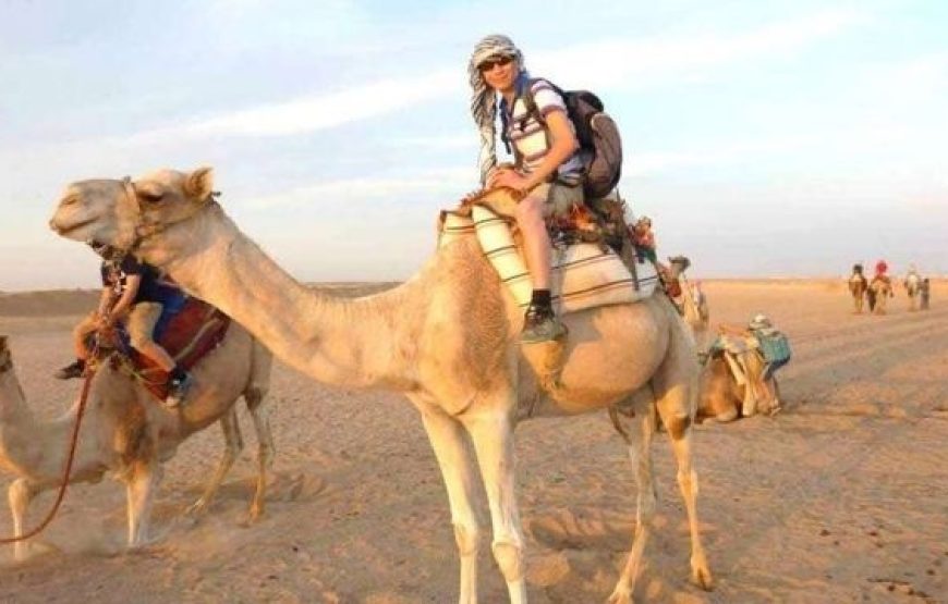 Safari Trip Hurghada desert by Quad Bike in with sunset.